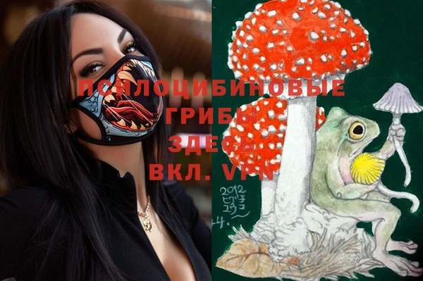 тгк Саяногорск