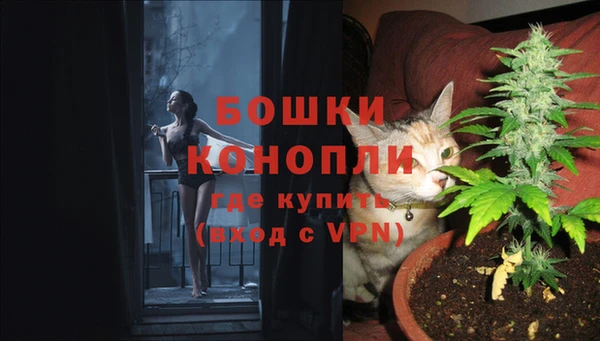 дурь Россошь