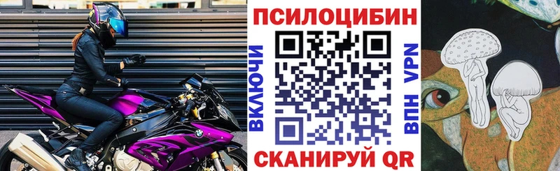 Псилоцибиновые грибы мухоморы  mega зеркало  Туран  купить  